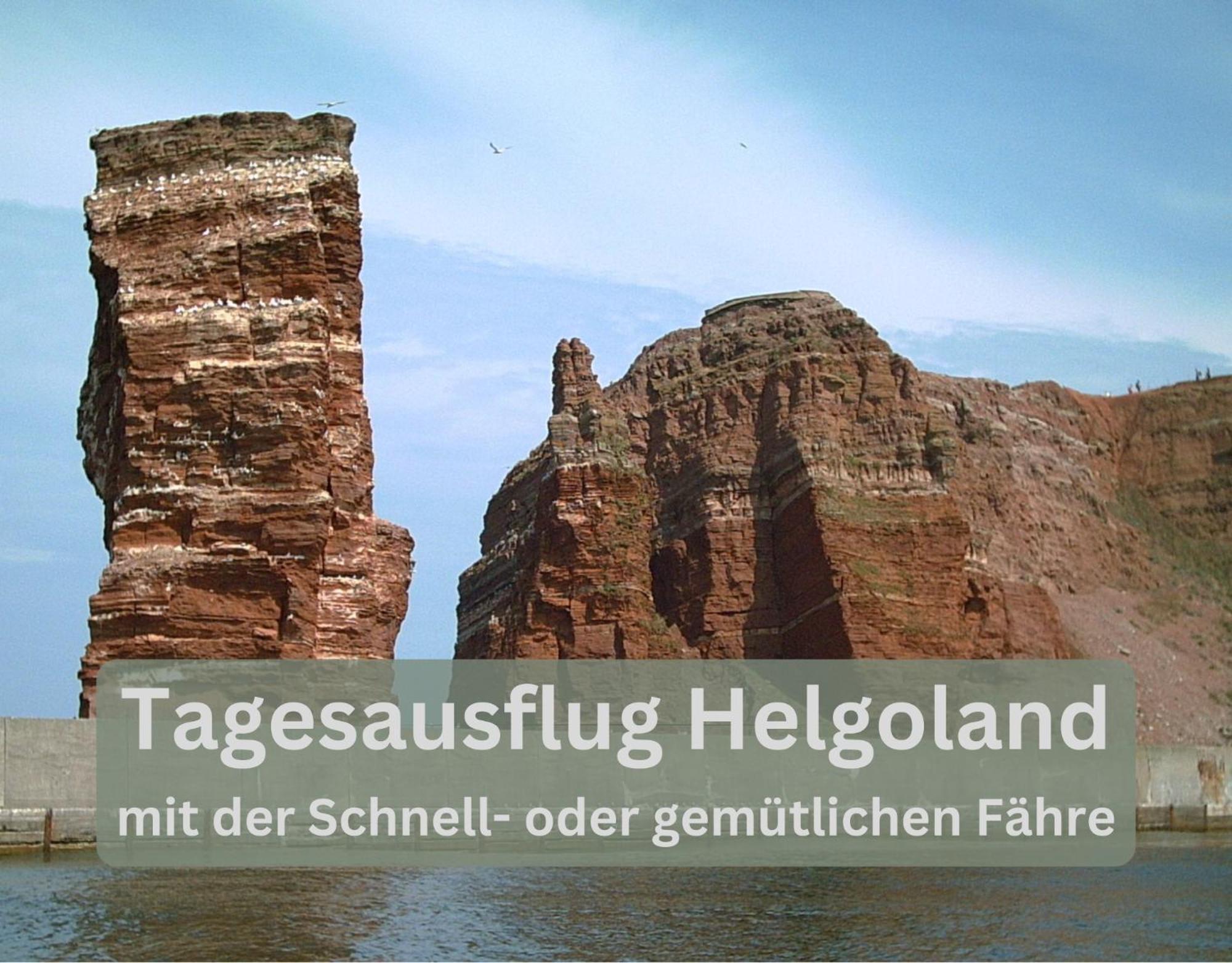 Lodge94 - Tinyhouse Kleiner Luxus Wilhelmshaven Bagian luar foto